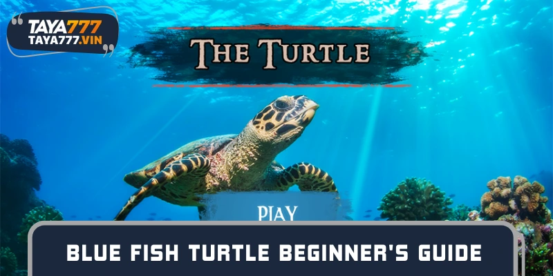 Basic experience when playing Blue Shot Fish Turtle