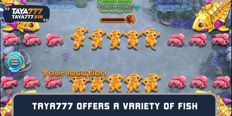 TAYA777 Offers a variety of fish with varying degrees of hardness