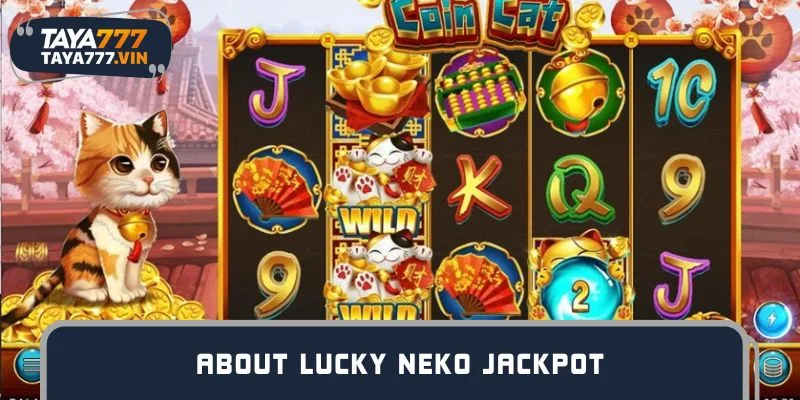 About Lucky Neko Jackpot