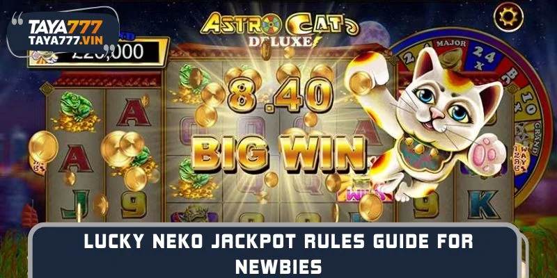 Lucky Neko Jackpot Rules Guide for Newbies