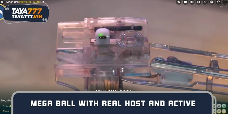Mega Ball with real host and active number