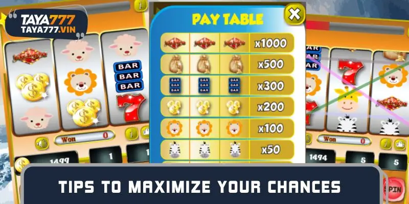 Tips to maximize your chances of winning Jackpot 2025