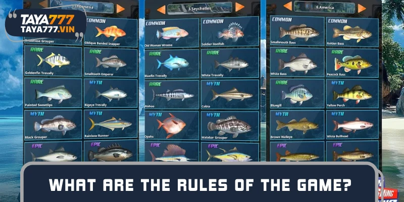 Know the rules before playing