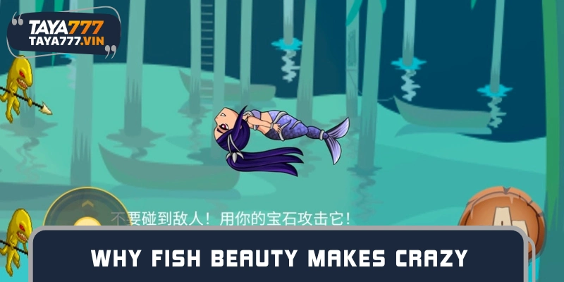 The mystery behind the allure of Fish Beauty